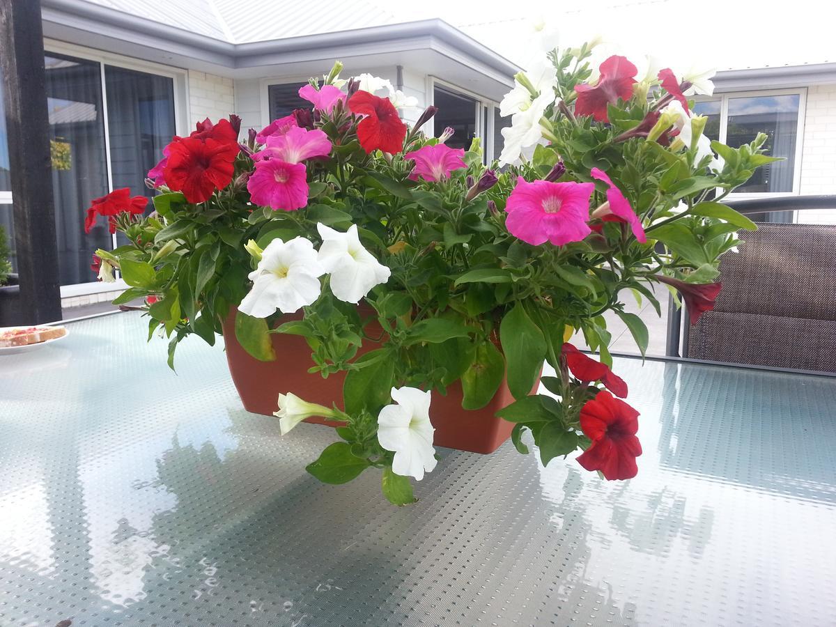 Courtenay B & B Kaiapoi Esterno foto